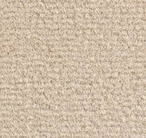 Ковролин Balsan Acadie DD Acadie 625 фото 1 | FLOORDEALER