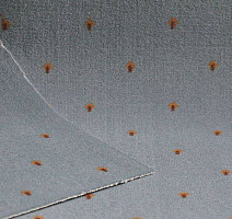 Ковролин Нева Тафт Pulman 700 фото 1 | FLOORDEALER