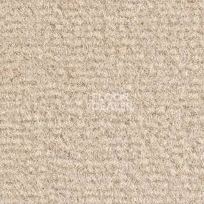 Ковролин Balsan Acadie DD Acadie 625 фото 1 | FLOORDEALER