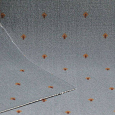 Ковролин Нева Тафт Pulman 700 фото 1 | FLOORDEALER