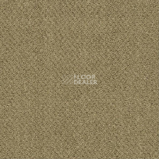 Ковровая плитка Shaw Momentum 02305 фото 1 | FLOORDEALER