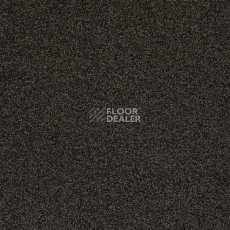 Ковролин Betap Transmit 78 фото 1 | FLOORDEALER