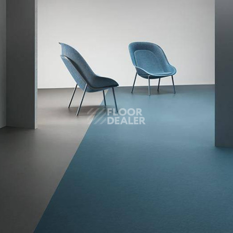 Forbo Marmoleum Modular t3358 petrol фото 3 | FLOORDEALER