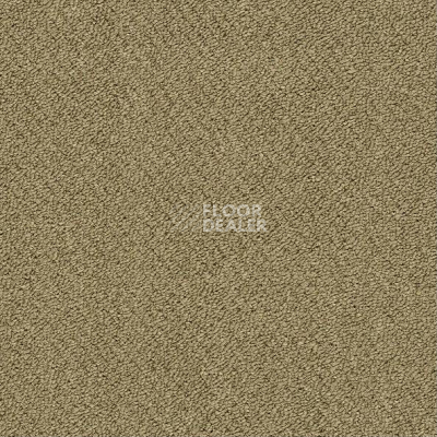 Ковровая плитка Shaw Momentum 02305 фото 1 | FLOORDEALER