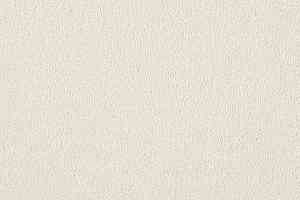 Ковролин Lano Evita 890 фото  | FLOORDEALER