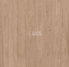 Линолеум Forbo Eternal Original 10432 grey washed oak фото 1 | FLOORDEALER