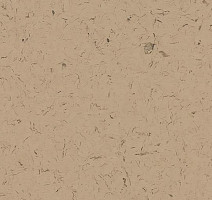 Кварцвиниловые полы Forbo Allura Colour C68014 фото 1 | FLOORDEALER