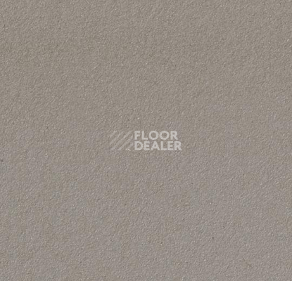 Линолеум Forbo Marmoleum Bulletin Board 2182 potato skin фото 1 | FLOORDEALER