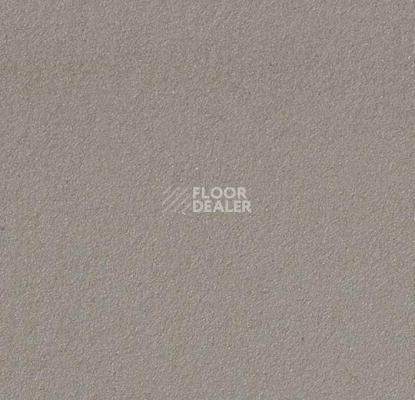 Линолеум Forbo Marmoleum Bulletin Board 2182 potato skin фото 1 | FLOORDEALER