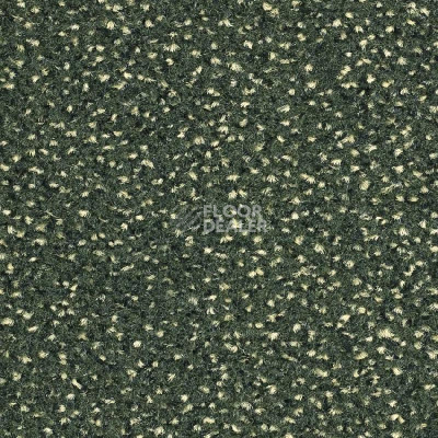 Ковролин Balsan Equinoxe 260 фото 1 | FLOORDEALER