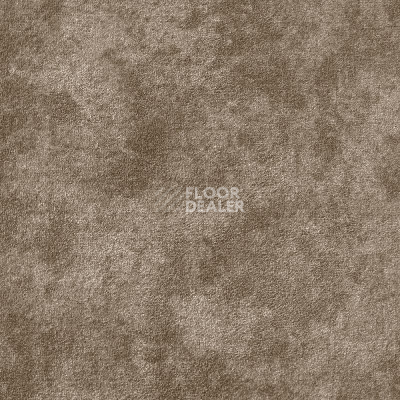 Ковролин AW Aspetto 49 фото 1 | FLOORDEALER