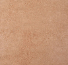 Линолеум Forbo Emerald Standart 72405 фото 1 | FLOORDEALER