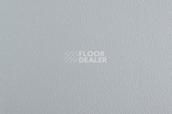 Forbo SportLine Standart Fr 4502 фото 1 | FLOORDEALER