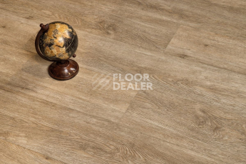 Alpine Floor Grand Sequoia (1220x183) ГРАНД СЕКВОЙЯ КАМФОРА ECO 11-5 фото 4 | FLOORDEALER