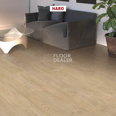 Haro Tritty 100 4V Клен Серебрянный Варио 544717 фото 3 | FLOORDEALER