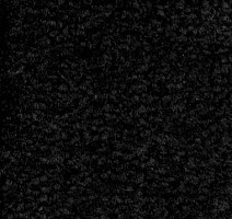 Ковролин Emphatic Beaulieu of America 56546 фото 1 | FLOORDEALER