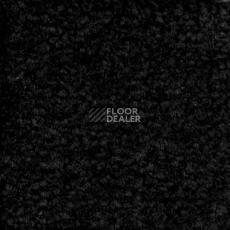 Ковролин Emphatic Beaulieu of America 56546 фото 1 | FLOORDEALER