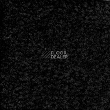 Ковролин Emphatic Beaulieu of America 56546 фото 1 | FLOORDEALER