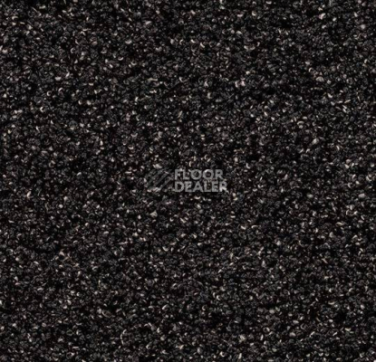 Грязезащитные покрытия Forbo Coral Luxe 2905 Topaz фото 1 | FLOORDEALER