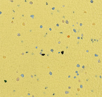 Forbo SureStep Original 172332 daffodil фото 2 | FLOORDEALER