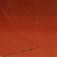 Нева Тафт Pulman 320 фото 1 | FLOORDEALER