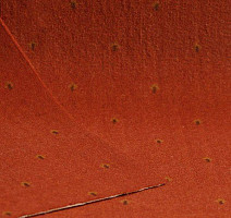 Ковролин Нева Тафт Pulman 320 фото 1 | FLOORDEALER