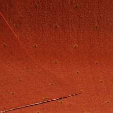 Ковролин Нева Тафт Pulman 320 фото 1 | FLOORDEALER