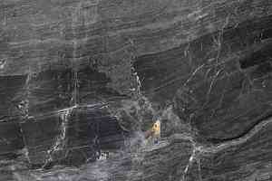 Керамогранит Purity Of Marble 60*60 Breccia Nera 60х60 фото  | FLOORDEALER