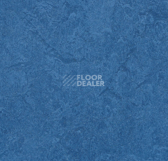 Forbo Marmoleum Sport 83110 dark blue фото 1 | FLOORDEALER