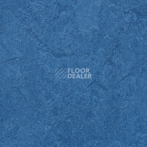 Forbo Marmoleum Sport 83110 dark blue фото 1 | FLOORDEALER