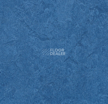 Линолеум Forbo Marmoleum Sport 83110 dark blue фото 1 | FLOORDEALER