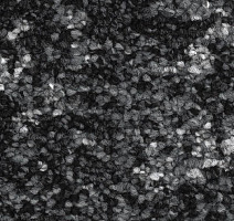 Ковролин Balsan Leon 990 фото 1 | FLOORDEALER