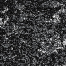 Ковролин Balsan Leon 990 фото 1 | FLOORDEALER