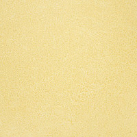 Линолеум Novoflor Extra Sparkle 2440-2 фото 1 | FLOORDEALER