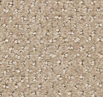 Ковролин Balsan Aquarelle Touch 720 фото 1 | FLOORDEALER