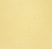 Линолеум Novoflor Extra Sparkle 2440-2 фото 1 | FLOORDEALER