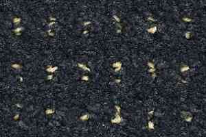 Ковролин Balsan Baccarat Baccarat 980 фото  | FLOORDEALER