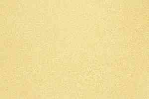 Линолеум Novoflor Extra Sparkle 2440-2 фото  | FLOORDEALER