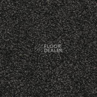 Ковролин AW Timeless 99 фото 1 | FLOORDEALER