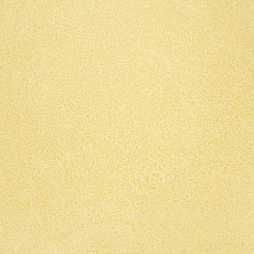 Линолеум Novoflor Extra Sparkle 2440-2 фото 1 | FLOORDEALER