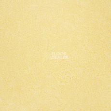 Линолеум Novoflor Extra Sparkle 2440-2 фото 1 | FLOORDEALER