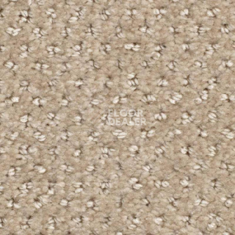 Ковролин Balsan Aquarelle Touch 720 фото 1 | FLOORDEALER