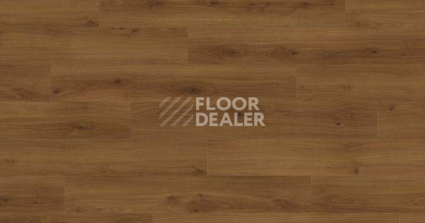 Ламинат Haro Tritty 100 Gran Via 4V ДУБ ЭМИЛИЯ ЯНТАРНЫЙ 541519 фото 1 | FLOORDEALER