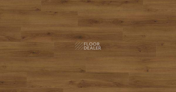 Ламинат Haro Tritty 100 Gran Via 4V ДУБ ЭМИЛИЯ ЯНТАРНЫЙ 541519 фото 1 | FLOORDEALER