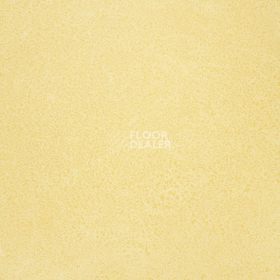 Линолеум Novoflor Extra Sparkle 2440-2 фото 1 | FLOORDEALER