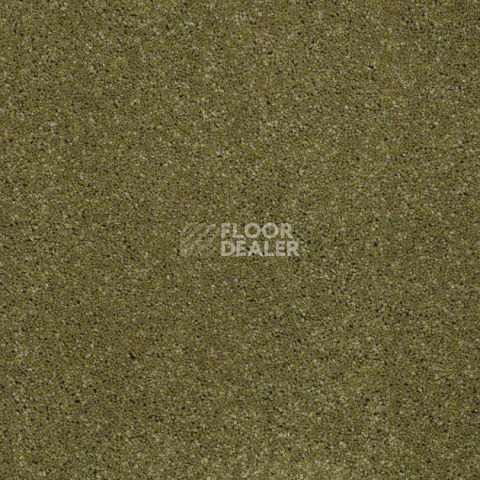 Ковролин Shaw Design Texture Platinum 321 фото 1 | FLOORDEALER