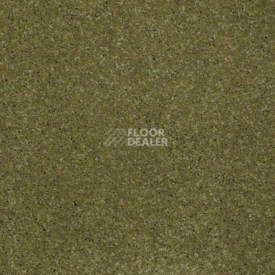 Ковролин Shaw Design Texture Platinum 321 фото 1 | FLOORDEALER