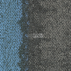 Ковровая плитка Interface Composure Edge 4274006 Sapphire Diffuse фото 1 | FLOORDEALER