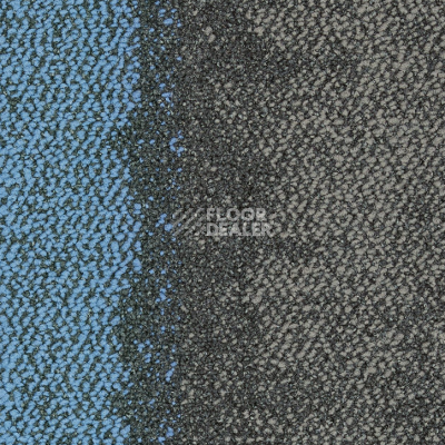 Ковровая плитка Interface Composure Edge 4274006 Sapphire Diffuse фото 1 | FLOORDEALER