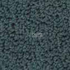 Ковролин Infloor Color 53 560 фото 1 | FLOORDEALER